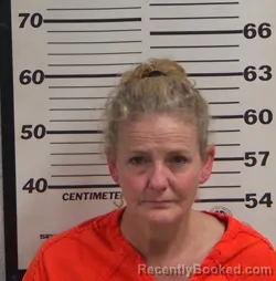 Mugshot of AMY KATHERINE BREEDLOVE booked in Jackson County, North Carolina on July 29, 2026