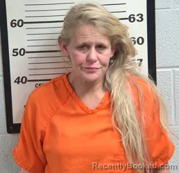 Booking photo from Jackson County, North Carolina