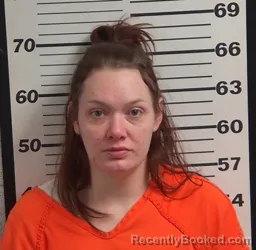 Mugshot of JAIMAN EDEN SEARS