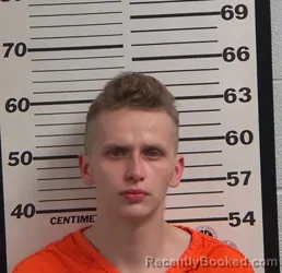 Mugshot of TONY RAY MORTON