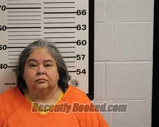 Booking photo from Jackson County, North Carolina