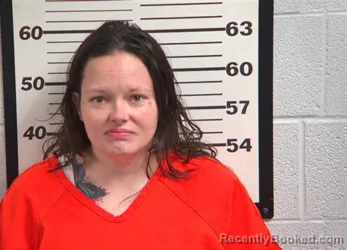 Mugshot of ALICIA RENEE MCLENDON booked in Jackson County, North Carolina on May 4, 2026