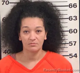 Mugshot of Shalees Marie Greenlee booked in Jackson County, North Carolina on August 25, 2026