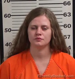 Booking photo from Jackson County, North Carolina