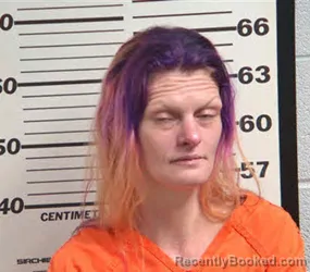 Mugshot of LISA MARIE PURDY