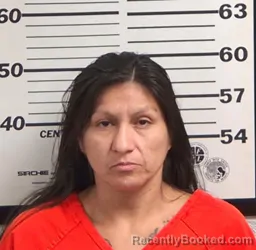 Mugshot of DANELLE KAY JIMENEZ booked in Jackson County, North Carolina on April 23, 2026