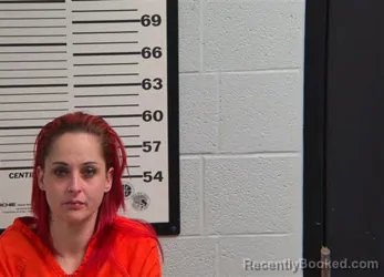 Mugshot of MARY OWLE