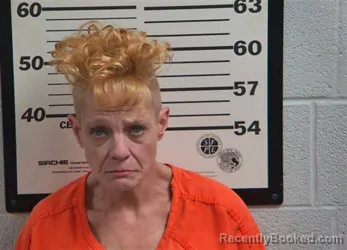 Mugshot of MELISSA GAIL GRAVES