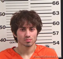 Mugshot of BRENDAN HERRERA