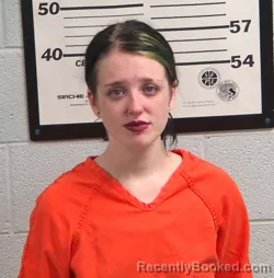 Mugshot of SAVANNAH ELIZABETH VAN LIENDEN
