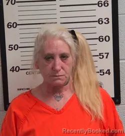 Mugshot of CONNIE RENEE JENNINGS booked in Jackson County, North Carolina on March 17, 2026