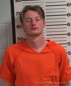 Mugshot of WILLIAM FRANKLIN NELSON booked in Jackson County, North Carolina on March 21, 2026