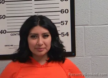 Mugshot of GRACE SARAI CORTEZ-BRACAMONTE booked in Jackson County, North Carolina on March 21, 2026