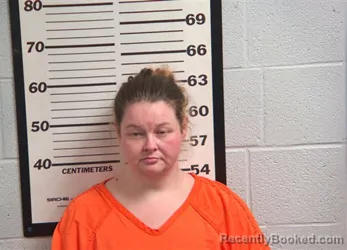 Mugshot of RACHEL ANNELISABETH TESNER booked in Jackson County, North Carolina on March 26, 2026