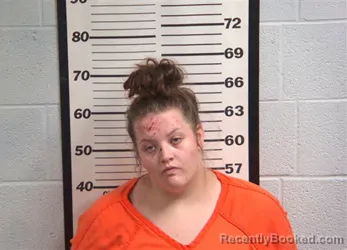 Mugshot of JAYLYN VISKYIA LOGAN booked in Jackson County, North Carolina on July 3, 2026