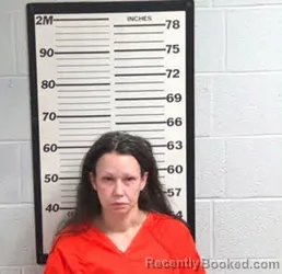 Mugshot of MARINA DEL RAE LELINKO booked in Jackson County, North Carolina on April 23, 2026