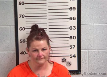 Mugshot of ERIN MICHELLE GINN booked in Jackson County, North Carolina on April 23, 2026