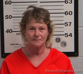 Mugshot of TAMMY RENEE WISHON booked in Jackson County, North Carolina on April 26, 2026