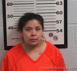 Mugshot of TYLER JACINTA RIVERA booked in Jackson County, North Carolina on May 12, 2026