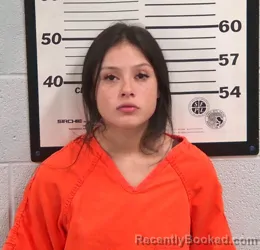 Mugshot of Vanessa Jasmin Russell booked in Jackson County, North Carolina on August 26, 2026