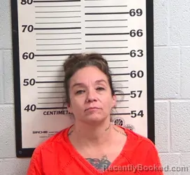 Mugshot of ANGELA DEEANNE WOLFE booked in Jackson County, North Carolina on June 25, 2026