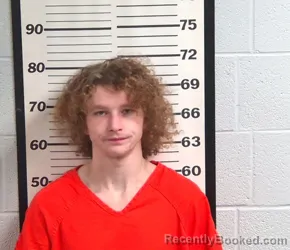 Mugshot of RENEGADE REBEL NATIONS booked in Jackson County, North Carolina on July 10, 2026