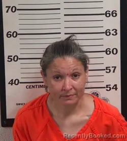 Mugshot of MARY DALENA SMITH booked in Jackson County, North Carolina on July 28, 2026