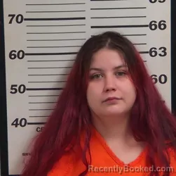 Mugshot of Joni Chyann June Rosalina Shell booked in Jackson County, North Carolina on August 8, 2026