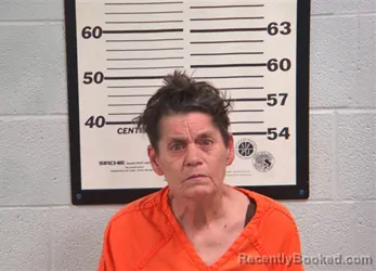 Mugshot of Tammy Lynn Gilmore booked in Jackson County, North Carolina on September 6, 2026