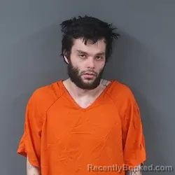 Mugshot of Trystien Lee Boswell