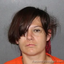 Mugshot of Jackie Lynn Fox booked in Putnam County, Indiana on July 14, 2026