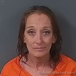 Mugshot of Tami Ann Havey booked in Putnam County, Indiana on August 2, 2026
