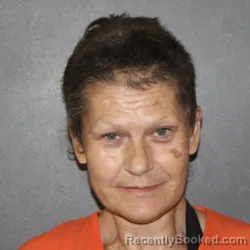 Mugshot of Tina Marie Brinkman booked in Putnam County, Indiana on August 20, 2026