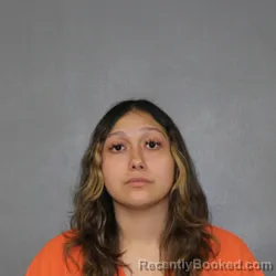 Mugshot of Iris Itzal Guzman booked in Putnam County, Indiana on June 2, 2026