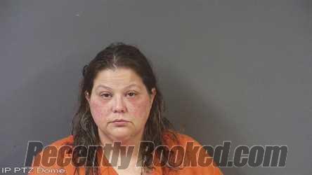 Booking photo from Putnam County, Indiana