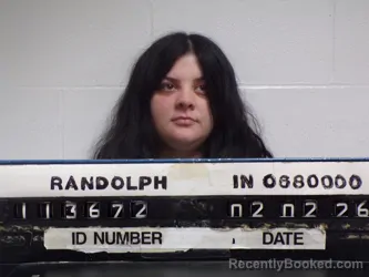 Mugshot of BRIANNA N. WELLS