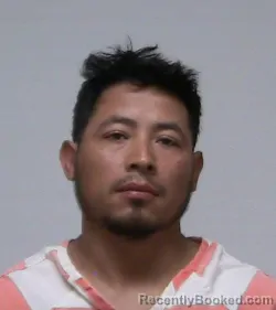 Mugshot of VINICIO MARCONI ORTIZ-VELASQUEZ