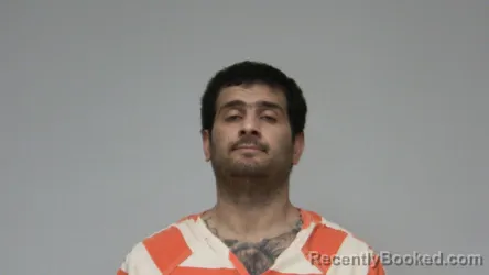 Mugshot of Austin Ray Boswell