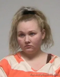 Mugshot of MEGAN SUE LIMECOOLY