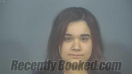 Booking photo from St Joseph County, Indiana