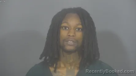 Booking photo from St Joseph County, Indiana