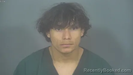 Mugshot of GREVIL JOEL BEJARANO-ZAVALA