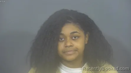 Booking photo from St Joseph County, Indiana