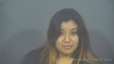 Mugshot of DIANA DIAZ