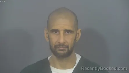 Mugshot of TROY LEE MCKINNEY