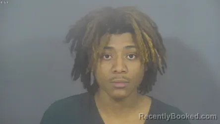 Mugshot of ALBERT DA RONN LEE BOWNES