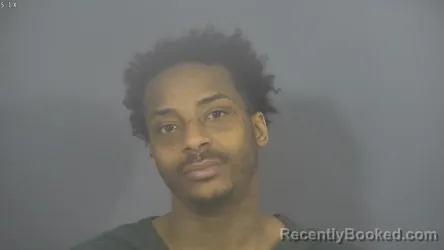 Mugshot of DEMARCUS LAVON MCCALLISTER