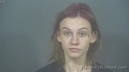 Mugshot of TARALYNN ROSE TIMBROOK booked in St Joseph County, Indiana on March 7, 2026