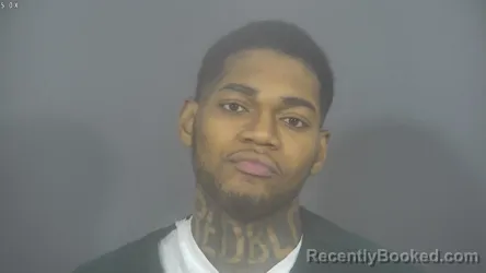 Mugshot of TRAVIS WILLIAM LOGAN booked in St Joseph County, Indiana on March 12, 2026