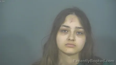 Mugshot of MIKAYLA ANNE VIVADO booked in St Joseph County, Indiana on March 20, 2026